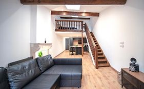 Loft Au Coeur Du Centre Ville